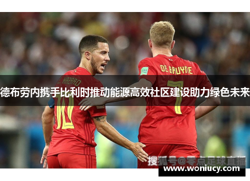 德布劳内携手比利时推动能源高效社区建设助力绿色未来