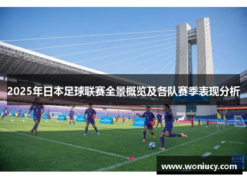 2025年日本足球联赛全景概览及各队赛季表现分析