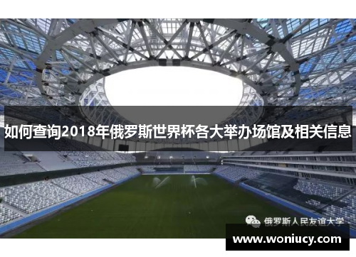 如何查询2018年俄罗斯世界杯各大举办场馆及相关信息