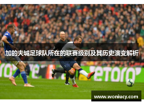 加的夫城足球队所在的联赛级别及其历史演变解析 加的夫城足球队所在的联赛级别及其历史演变解析